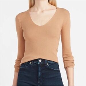 Express Tan V-Neck Fitted Sweater